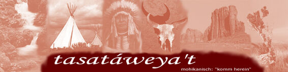 Banner Indianerlexikon.jpg