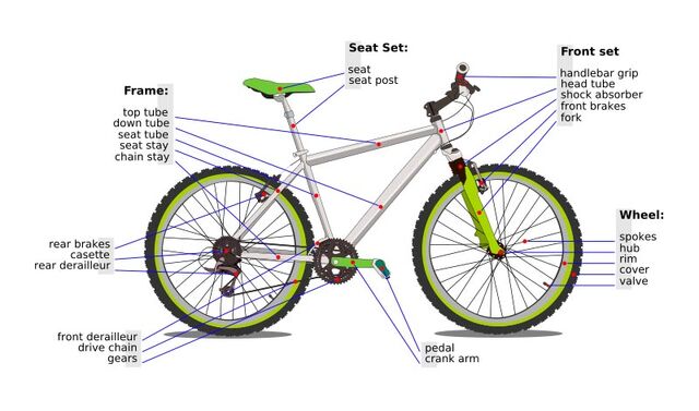 File:Bicycle diagram-en.svg.jpg