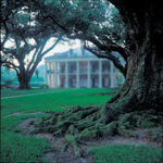 Themansion