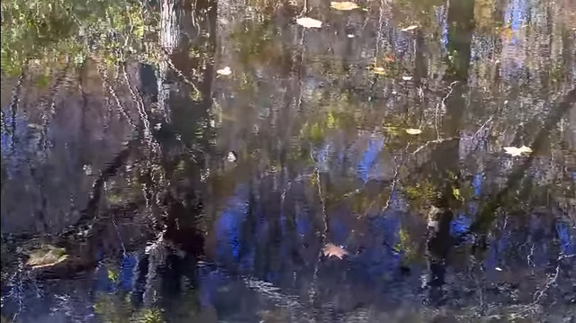 File:Vid1.png