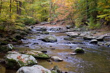 Dcnr 20027874