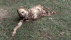 Bicycle girl