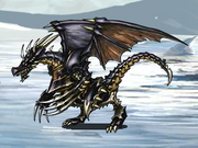 Black Dragon zero