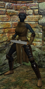 A Bloodsaber highguard (dark elf)