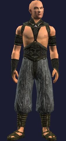 File:Wu's Fighting Shirt (Visible, Male).jpg