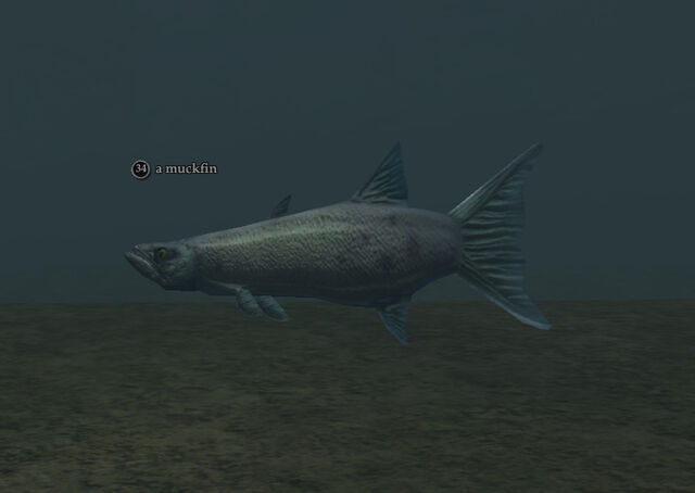 File:Muckfin.jpg