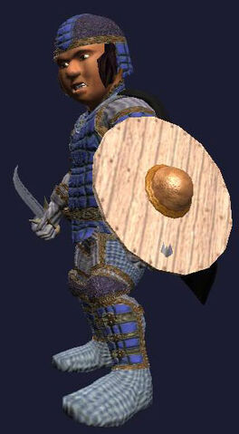 File:Enchanted Round Shield.jpg