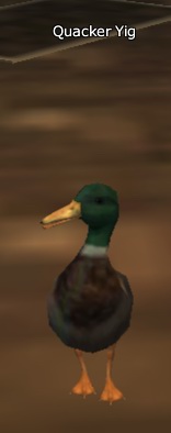 Quacker Yig vis