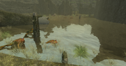 Two Logs Pond
