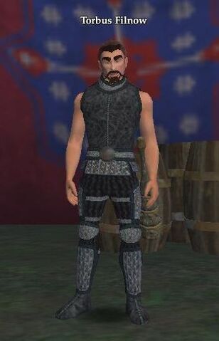 File:Torbus Filnow.jpg
