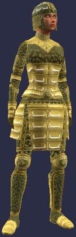 File:Elder's Armor (female).jpg
