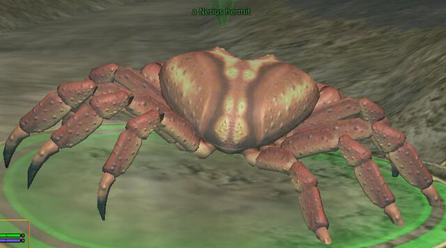 File:Nerius hermit.jpg