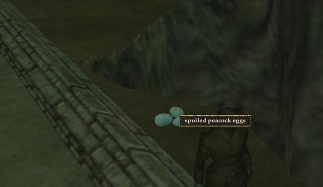 File:Spoiled peacock eggs.jpg