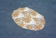 Iceclad liche