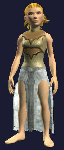 File:Breastplate of the Grandmaster.jpg