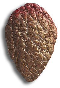 Leather-Scale-200