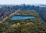 Central-park.jpg