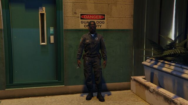 Archivo:Guardia de seguridad.jpg