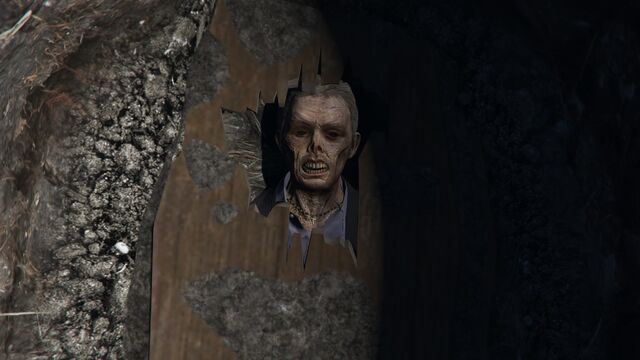 Archivo:Brad cadaver.jpg
