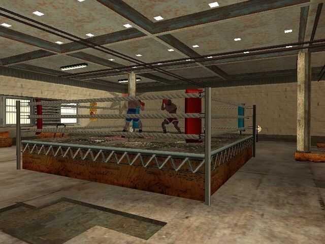 Archivo:Gimnasio LV2.jpg