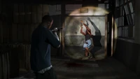 Franklin Shooting