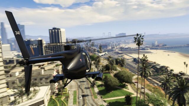 Archivo:Buzzard-LS.jpg
