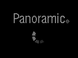 Logo Panoramic PDA.png
