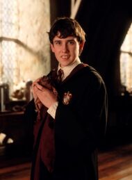 Neville poa.jpg
