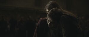Halfblood-04098.jpg