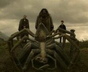 Muerte de aragog.jpg