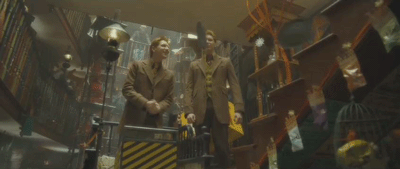 Weasleys' Wizard Wheezes 01.gif