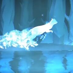 Gato blanco y negro Patronus.jpg