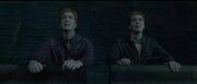 Fred y George.jpg