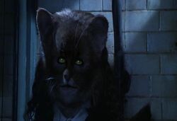 HermioneGato.jpg
