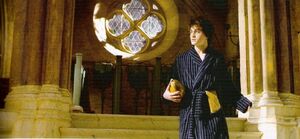 Harry Prefect's bathroom 1.jpg