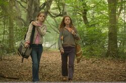 Hermione and Ginny.jpg