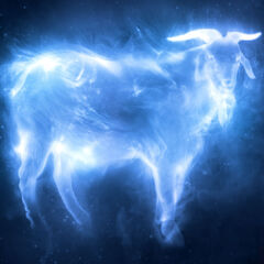 Cabra Patronus.jpg