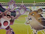 Pika Copa.jpg