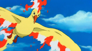 P02 Moltres.png