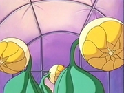 EP137 Sunflora cerrados.png