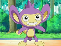 EP524 Aipom de Ash.png