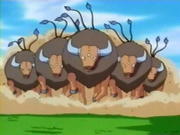 EP035 Tauros de Ash.png