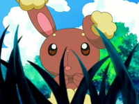 EP478 Buneary asombrada por Pikachu.png