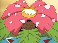 EP441 Flor de Venusaur.png