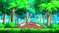 EP718 Stunfisk llorando.png