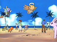 EP398 Coordinadores Pokémon.png
