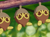 EP304 Seedot (4).png
