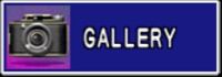 Galeria St.jpg