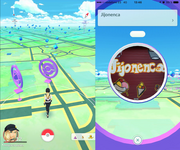 Poképaradas.png