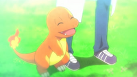 SME01 Charmander de Alan